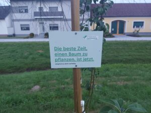 Baumpflanzung_3